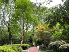 -金鸡湖桃花岛