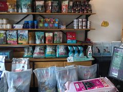 -美联众合宠物医院·爱萌分院·内外科·猫科中心