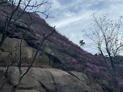 -青岛大珠山景区