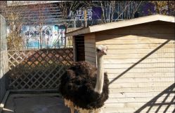 -萌宠亲子动物乐园(槐房万达店)