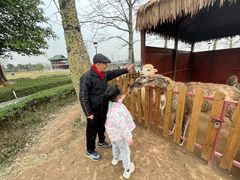 -王借岗森林公园