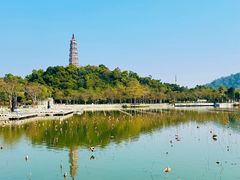 -顺峰山公园