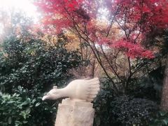 -天目湖涵田半山温泉