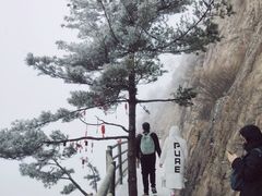 -洛阳白云山景区