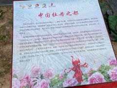 -曹州牡丹园