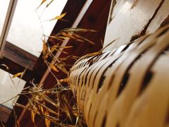 -看见远方·莫干遥远的山民宿