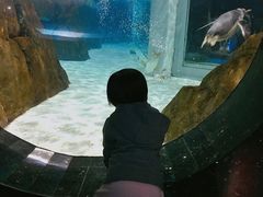 -成都浩海立方海洋公园