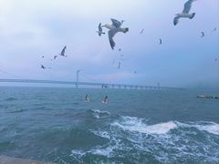 -星海广场