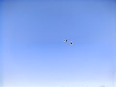 -盐城丹顶鹤湿地生态旅游区