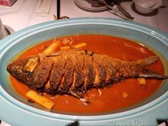 -阿五黄河大鲤鱼(纬三路店)