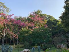 -晓港公园