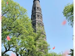 -宝石山