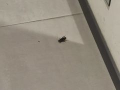 -前小桔亲子创意农场·草莓采摘·露营烧烤