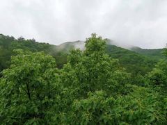 -宁波五龙潭景区