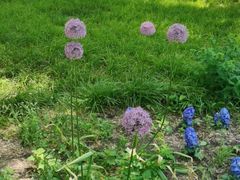 -东方饺子王(新奥购物中心店)