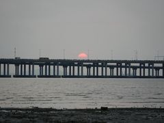 -宝安西湾红树林湿地公园