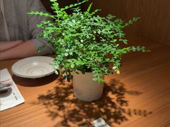 -CURRY YA 熟成咖哩專門店(深圳湾万象城店)