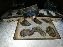 -上海柏悦酒店·世纪100牛排馆