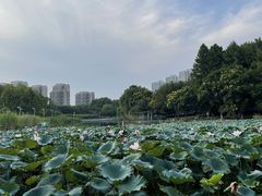 -白塘生态植物园