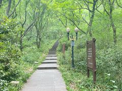 -句容茅山景区