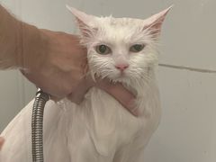 -comecome来吧宠物(奥克斯中心店)