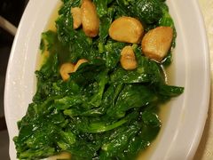 豆苗-喜记避风塘炒辣蟹(旗舰店)