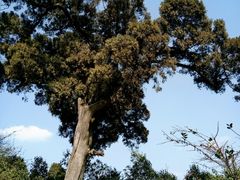 -金堂县云顶石城风景区