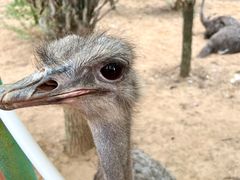 -鄂尔多斯野生动物园