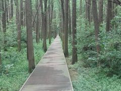-同里国家湿地公园