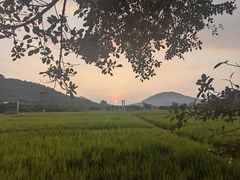 -艾米稻香小镇