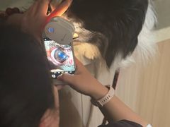 -申普宠物医院·眼科·心内科·影像科(普陀分院)