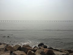 -宝安西湾红树林湿地公园