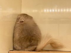 -龙猫仔乐园(惠福东路店)