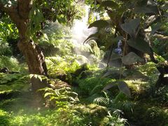 -Chom Cafe and Restaurant