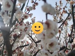 -泗洪洪泽湖湿地景区