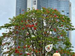 -民盈·国贸城