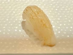 文甲鱿鱼-Sushi Hanzo半藏(天环广场店)