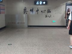 -奥体中心(地铁站)