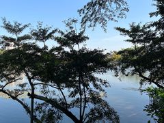 -东山湖公园