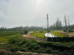 -上海长兴岛郊野公园