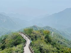 -大岭沟猕猴桃谷风景区