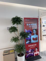 -深圳美莱医疗美容医院