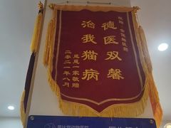 -芭比堂动物医院·心脏科·老年急重症·夜诊·吉雅分院