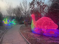 -南宫五洲植物乐园