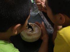 -茶大椰·椰子茶(星悦荟店)