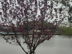 -凤城河风景区