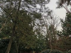 -法门文化景区