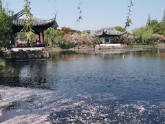 -无锡蠡湖国家湿地公园-蠡园
