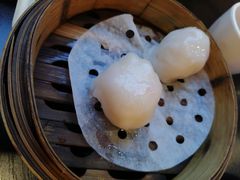 添运来虾饺皇-添运来(茶园奥园广场店)