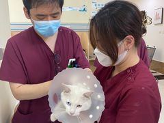 -美联众合动物医院·24h京西诊疗中心